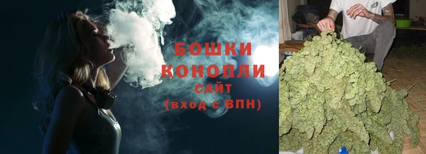 PSILOCYBIN Новозыбков