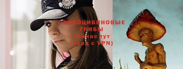 PSILOCYBIN Новозыбков