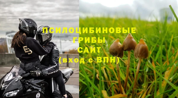 PSILOCYBIN Новозыбков