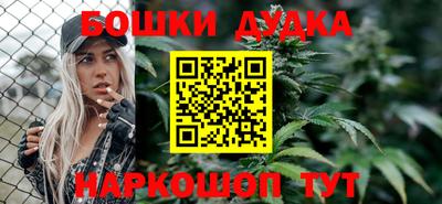 ALPHA PVP Гатчина