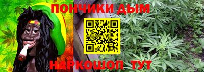 ALPHA PVP Гатчина