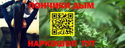 ALPHA PVP Гатчина