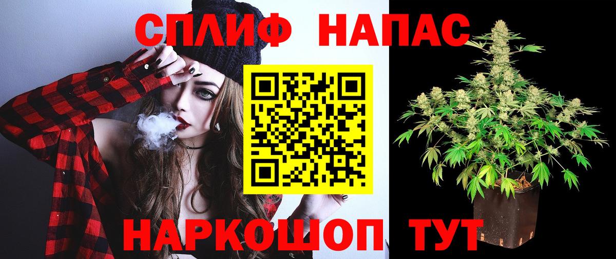 Бошки Шишки семена Зеленогорск